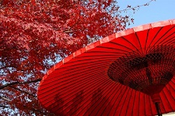 季節の画像